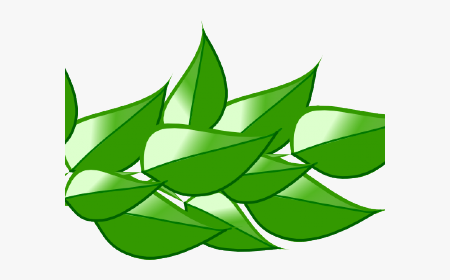 Clip Art, Transparent Clipart