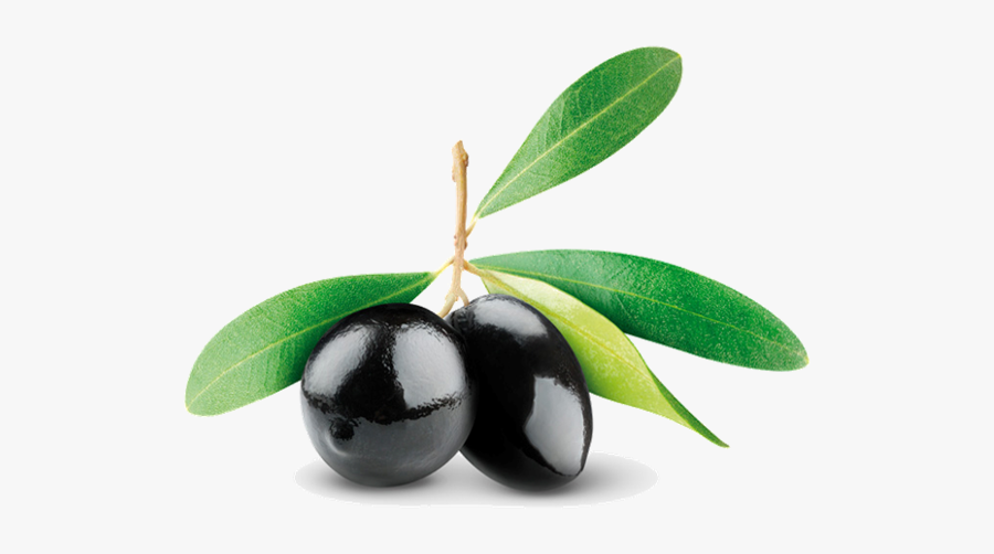 Extra Virgin Oil Pomace - Aceitunas Negra Y Verde, Transparent Clipart
