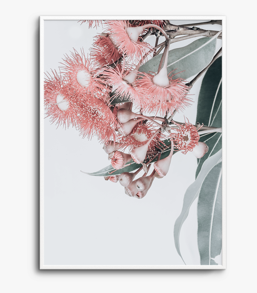 Clip Art Eucalyptus Floral - Art, Transparent Clipart