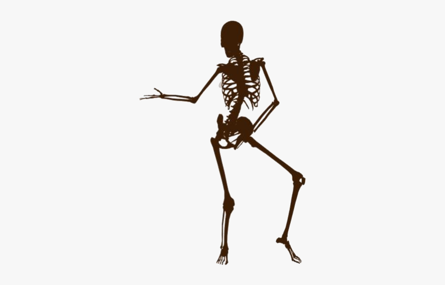 Funny Skeleton Png Image Clipart - Cartoon, Transparent Clipart