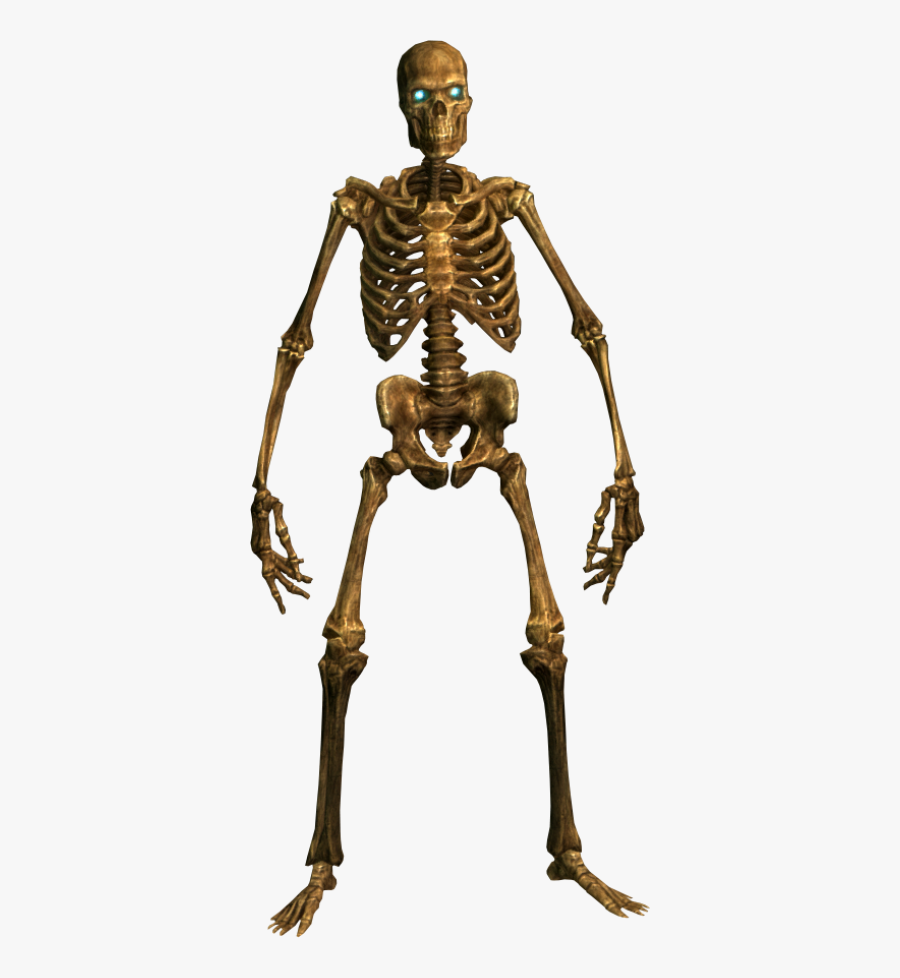 Transparent Skeleton Png - Skeleton Png, Transparent Clipart