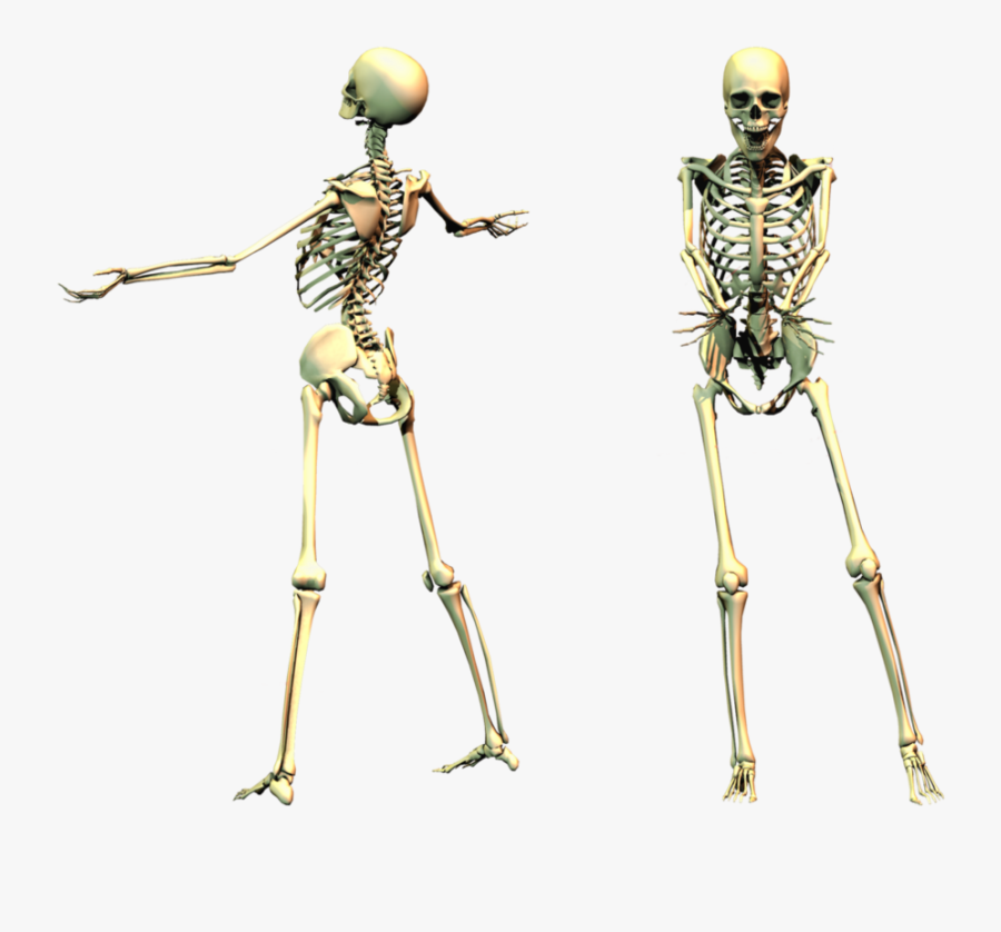 Spooky Skeleton Png, Transparent Clipart