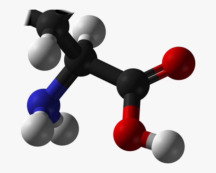 Essential Amino Acids Png, Transparent Clipart