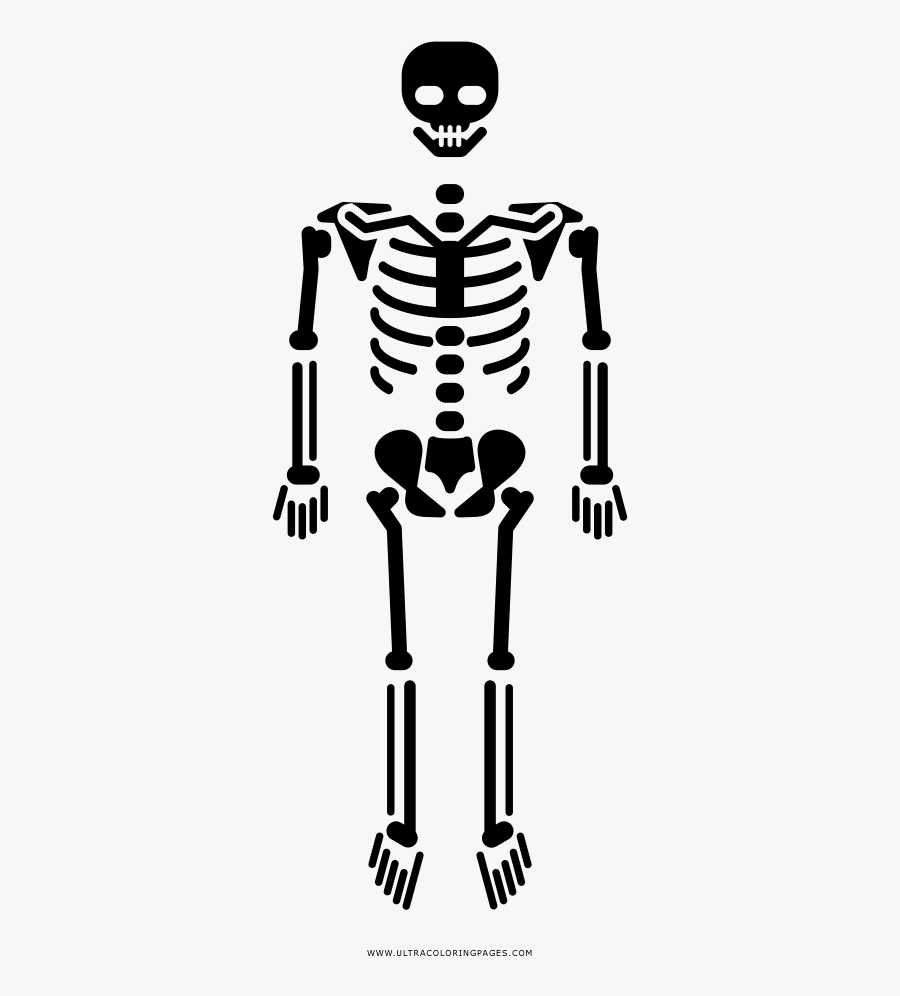 Skeleton Body Icon Png, Transparent Clipart