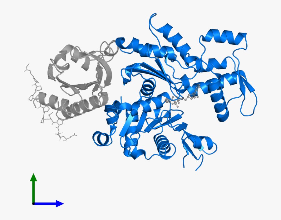 Graphic Design, Transparent Clipart