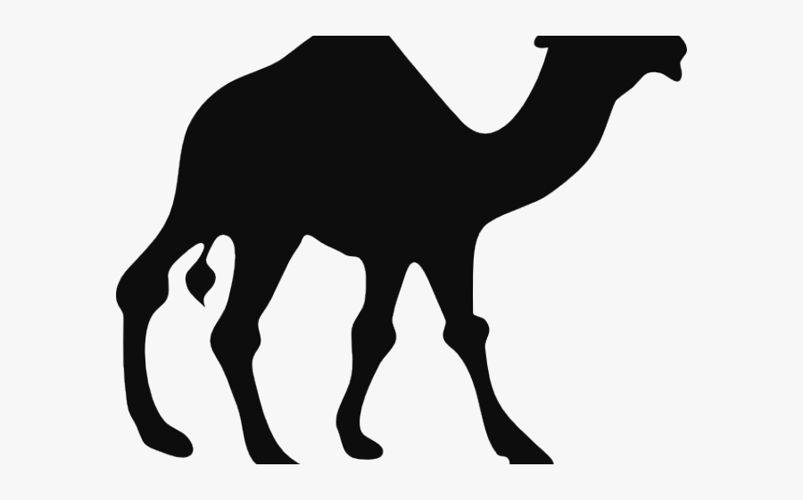Camel Silhouette, Transparent Clipart