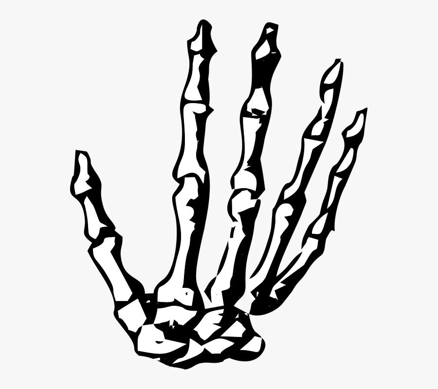 Skeleton Hand Png - Skeleton Hand Clipart, Transparent Clipart