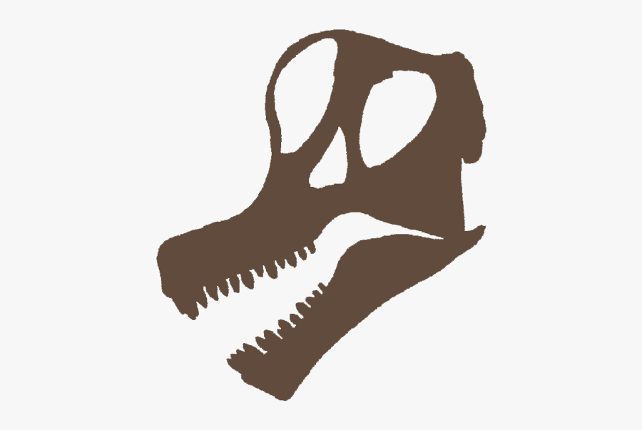Brachiosaurus Skull Clipart, Transparent Clipart