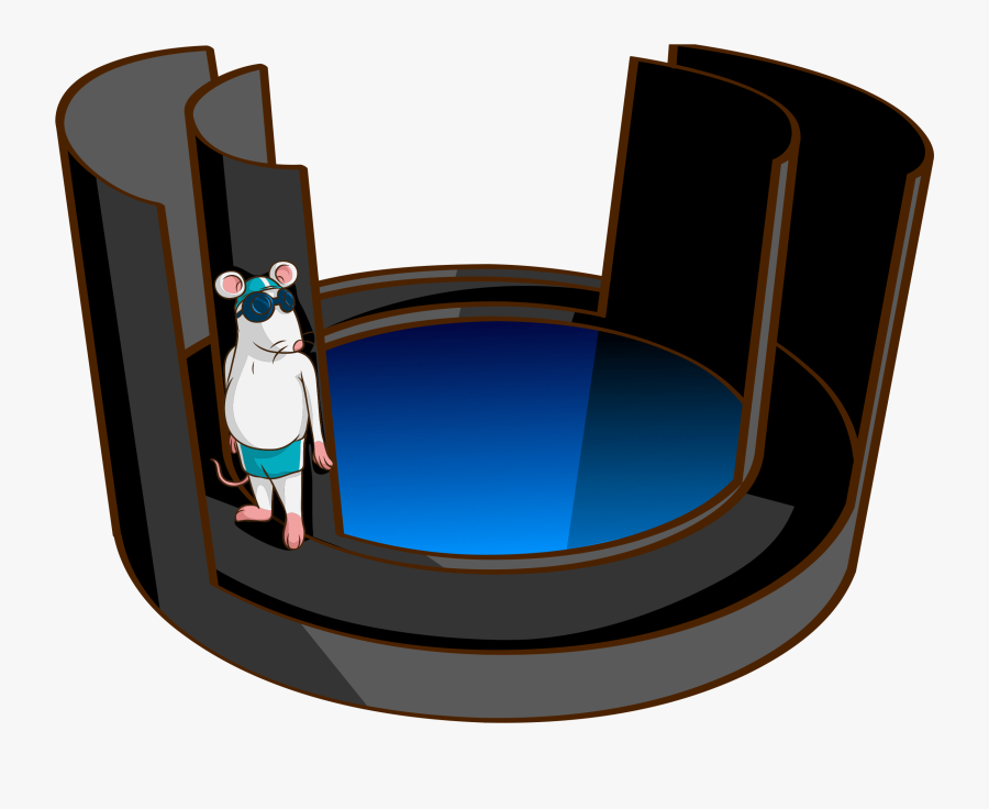 Zero maze test free transparent clipart clipartkey