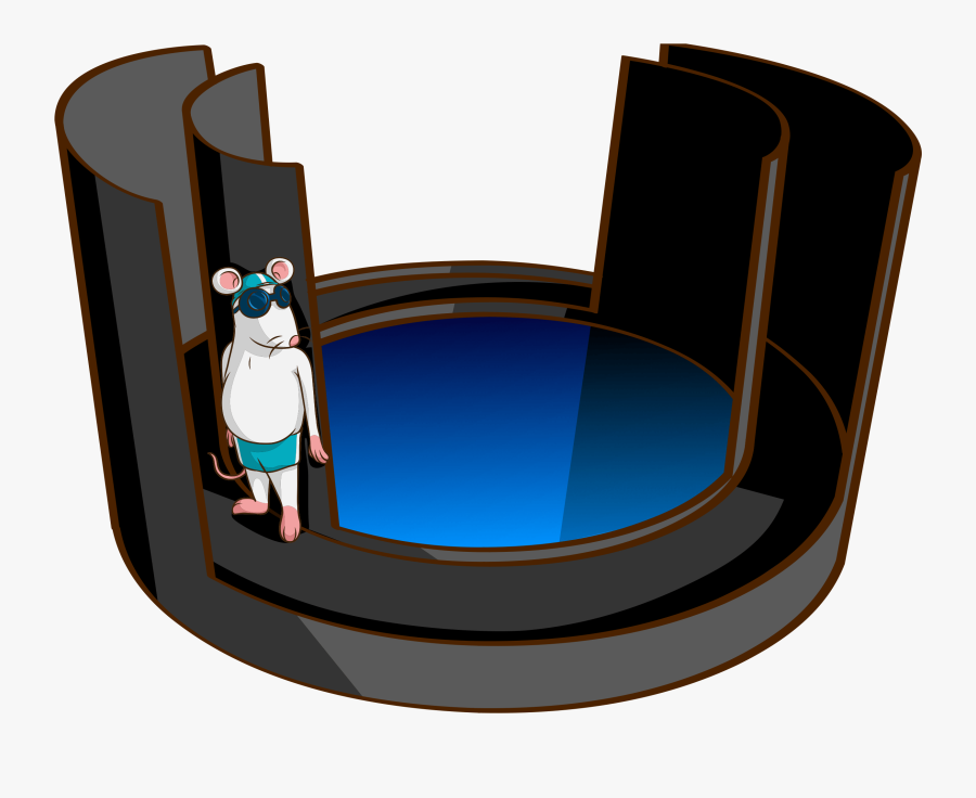 Zero Maze Test, Transparent Clipart