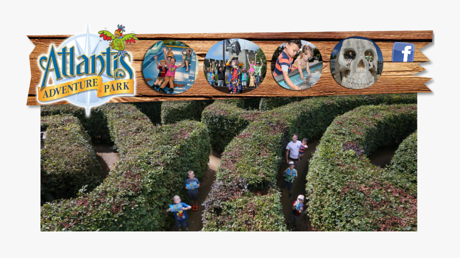 Maze Clipart Hedge - Botanical Garden, Transparent Clipart