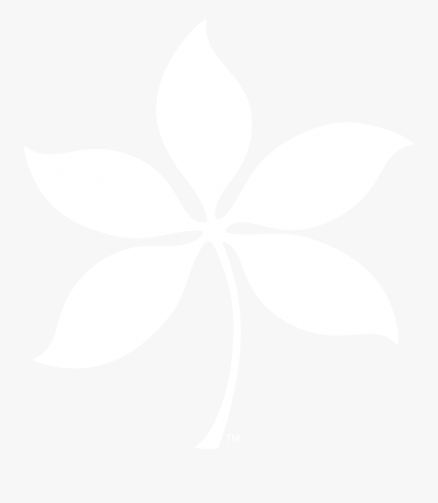 Osu Buckeye Leaf Vector, Transparent Clipart