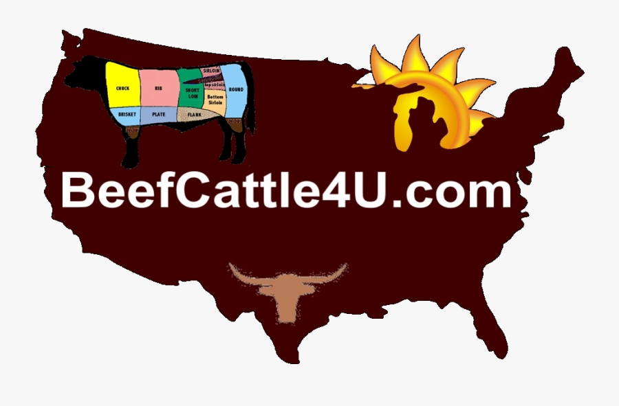 Ohio Hay And Straw For Sale - Governors By Party 2019, Transparent Clipart