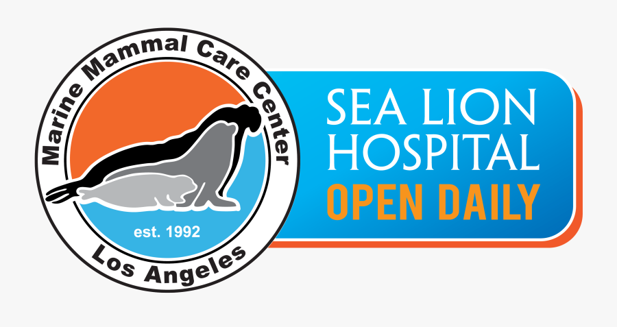 Transparent Elephant Seal Png - Longdog, Transparent Clipart