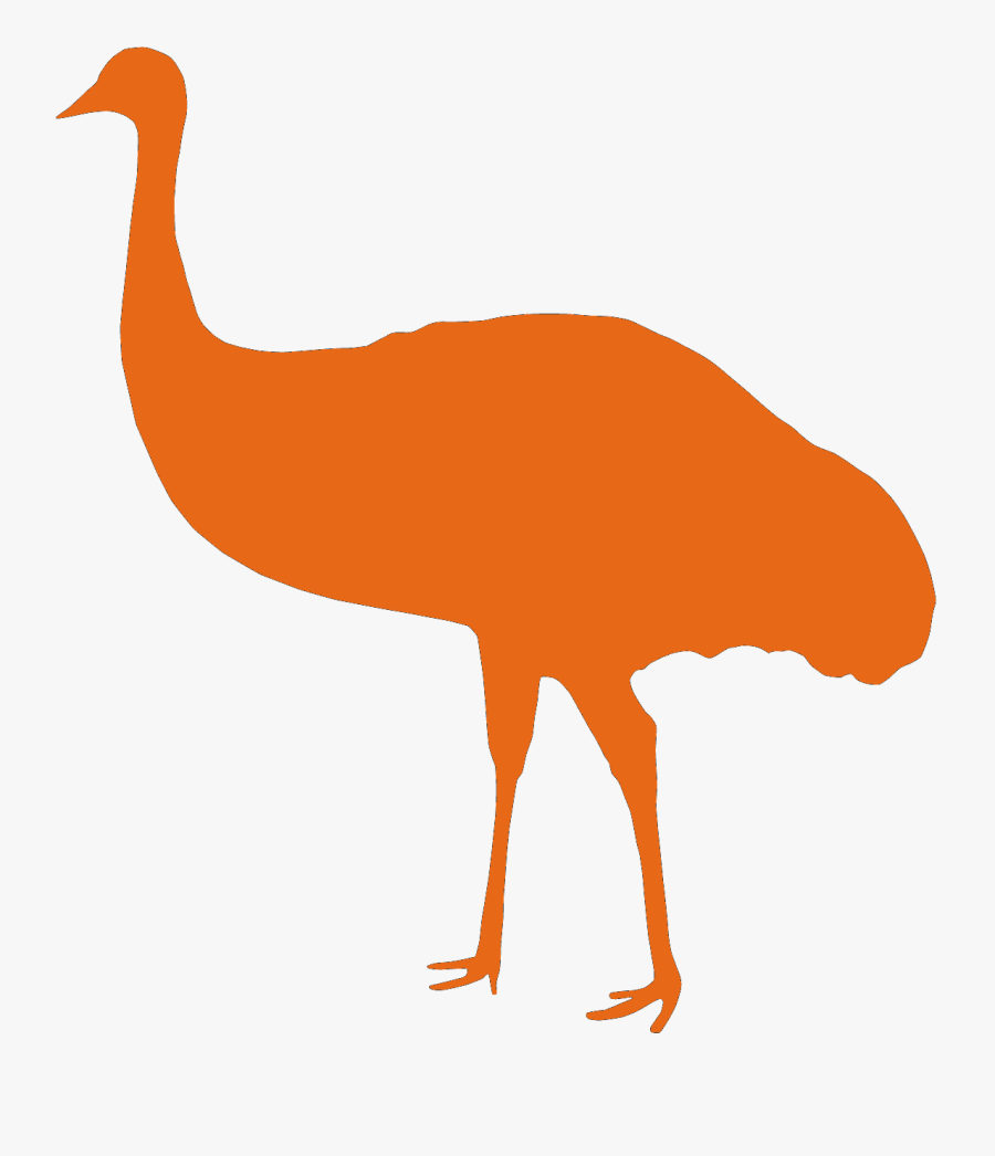 Edmonton Emus - Flightless Bird, Transparent Clipart