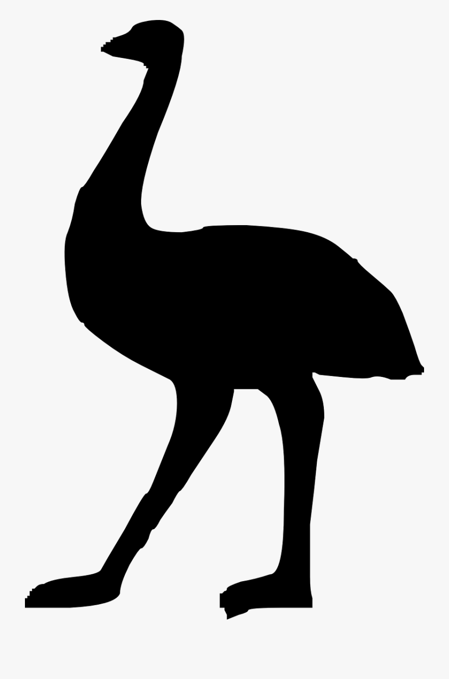 Australia - Emu Silhouette Png, Transparent Clipart