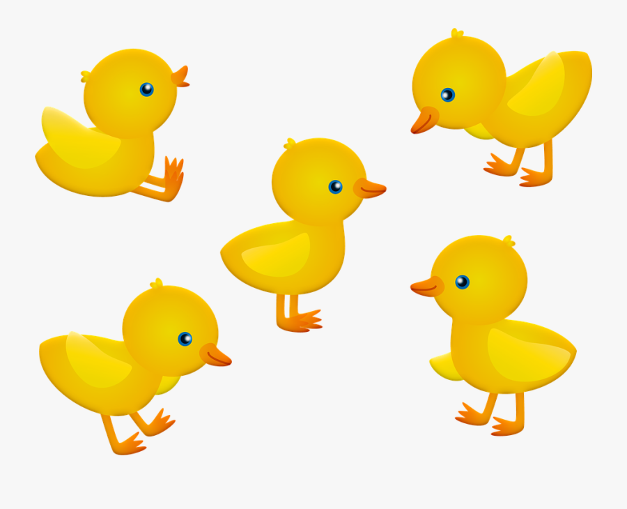 Transparent Baby Chicks Clipart - Pintinhos Png, Transparent Clipart