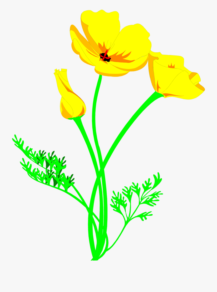 Transparent Poppies Flowers Clipart - Clip Art, Transparent Clipart