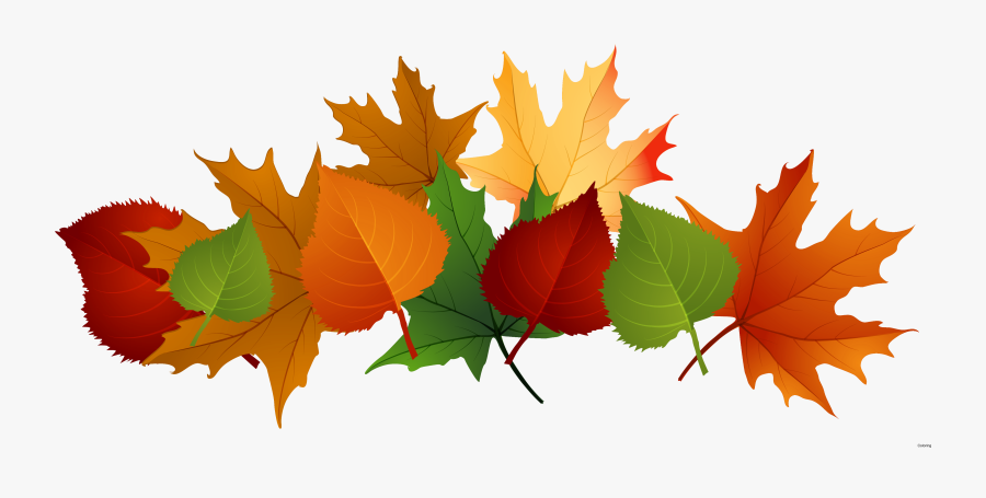 Fall Clipart Leaf - Row Of Fall Leaves Clipart, Transparent Clipart