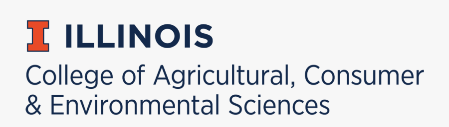 Printing, Transparent Clipart