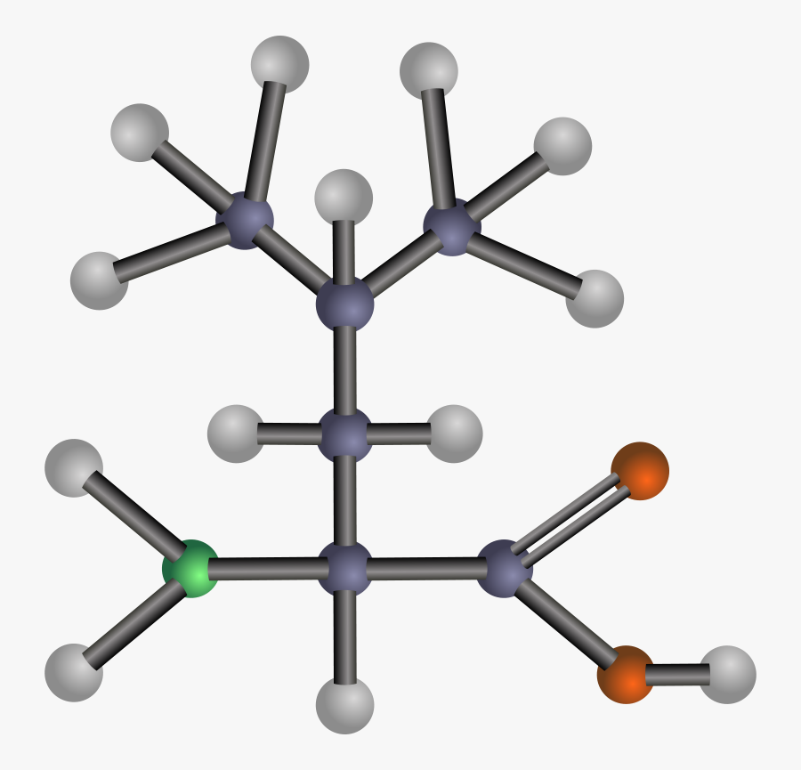 Hydrophobic Amino Acid .png, Transparent Clipart