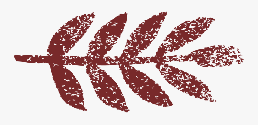 Lidi, Transparent Clipart