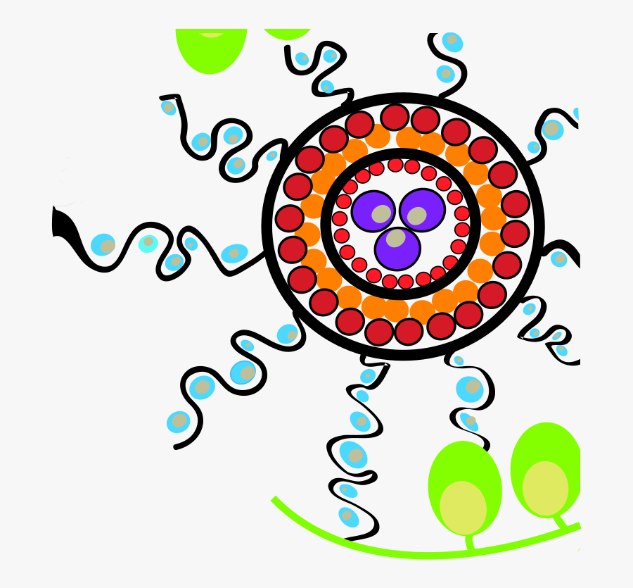 Evaluation Highlights & Outcomes Clipart , Png Download - Circle, Transparent Clipart