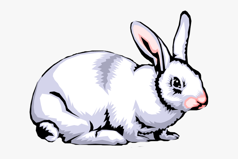 Rabbit Clipart Images Rabbit Clip Art Images Clipart - Clip Art Rabbit Png, Transparent Clipart