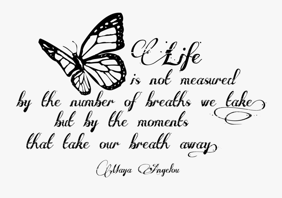 Download Quotes Png Clipart 341 - Png Quotes, Transparent Clipart