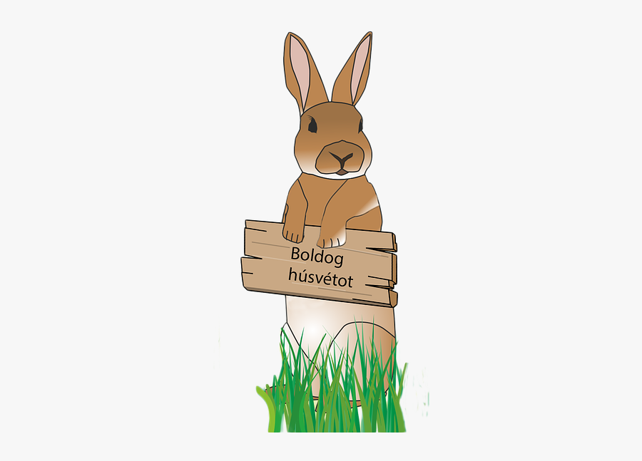Rabbit Easter Bunny Free Picture - قصة ارنوب, Transparent Clipart