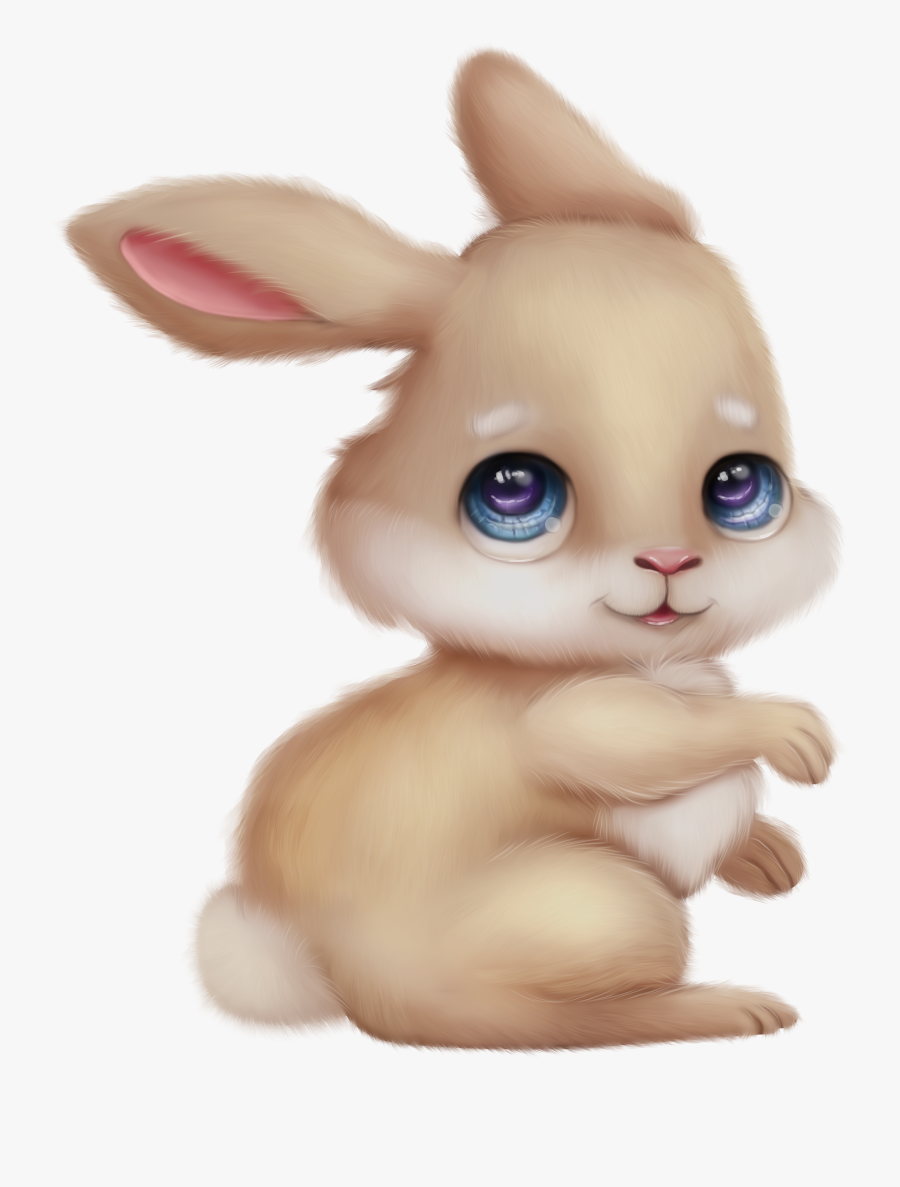 Domestic Rabbit, Transparent Clipart
