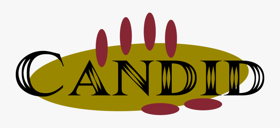 Candid Carpet Cleaning, Transparent Clipart