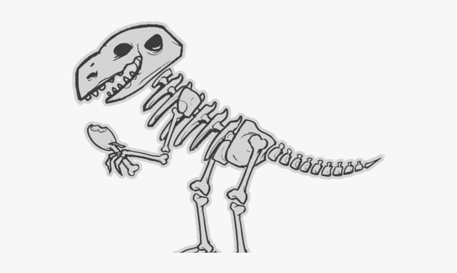 Dibujo De Un Esqueleto De Dinosaurio, Transparent Clipart