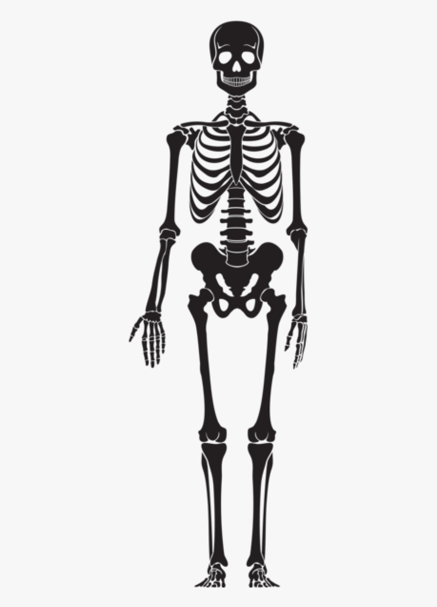 Silhouette Skeleton Png, Transparent Clipart