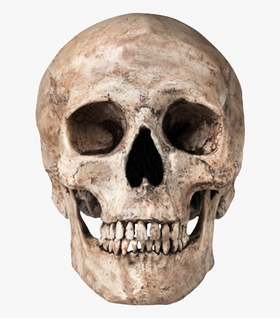 People Skulls And Skeletons Skull Png Transparent - Skull Png Transparent, Transparent Clipart