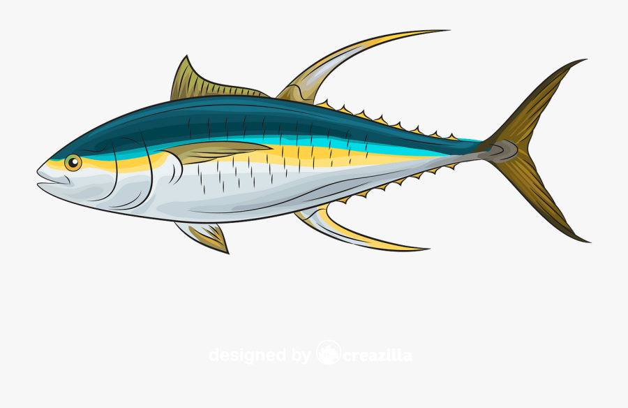Atlantic Bluefin Tuna , Free Transparent Clipart - ClipartKey (900 x 584 Pixel)