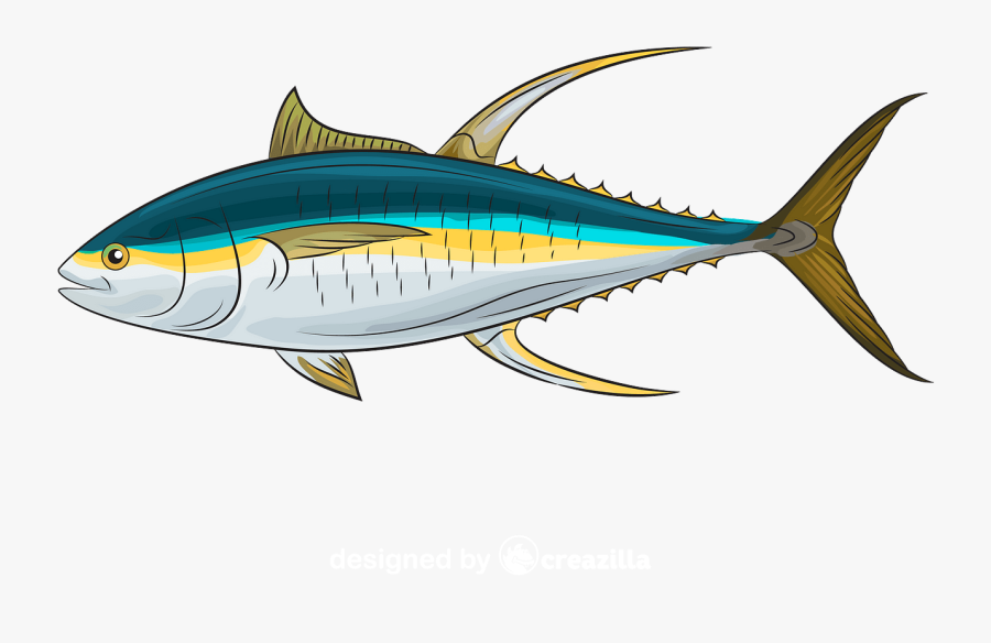 Atlantic Bluefin Tuna, Transparent Clipart