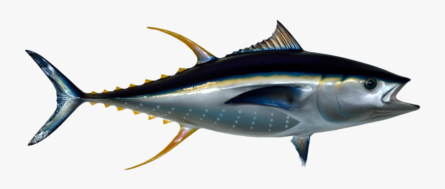 Portable Network Graphics Tuna Fish Sandwich Transparency, Transparent Clipart