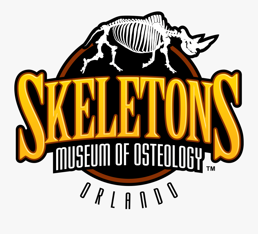 National Geographic Special Lost Treasures, Transparent Clipart