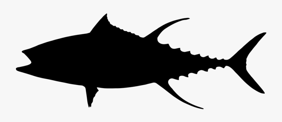 Transparent Fish Clipart Black And White - Yellowfin Tuna Silhouette, Transparent Clipart