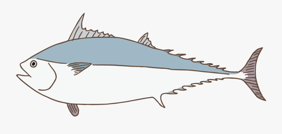 Cliparts For Free Download Tuna Clipart Bluefin Tuna - Escolar, Transparent Clipart