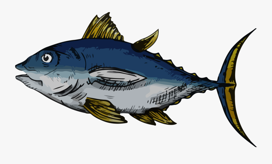 Tuna Clipart Large Fish - Bass, Transparent Clipart