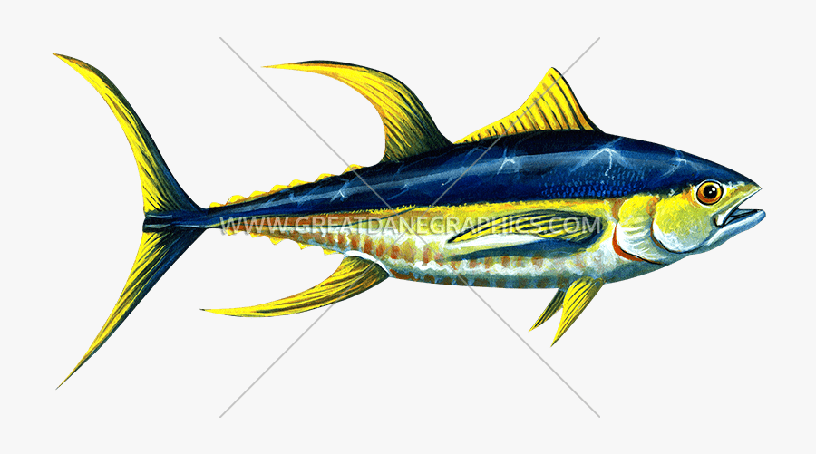 Yellowfin Tuna - Yellowfin Tuna Decals, Transparent Clipart