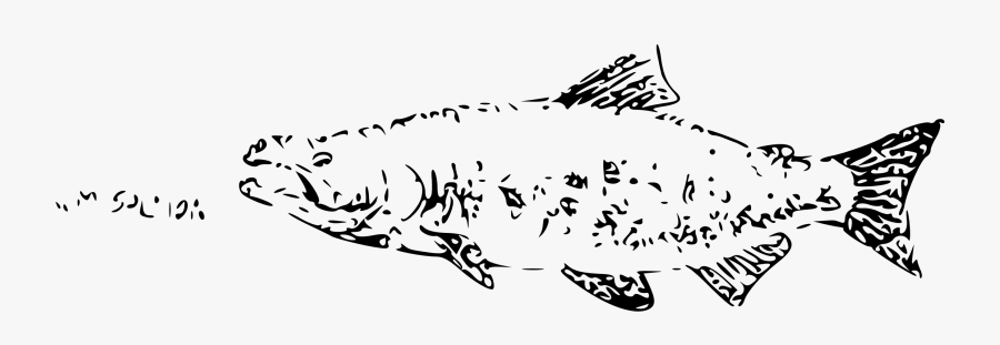 Salmon Chum Transparent Free, Transparent Clipart