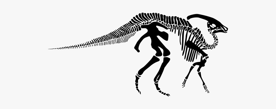 "
 Class="lazyload Lazyload Mirage Cloudzoom Featured - Parasaurolophus Skeleton, Transparent Clipart