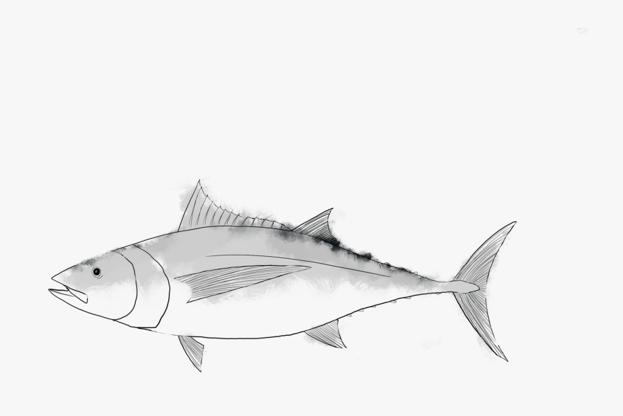 Fishgirl Seafood Full Order - Perch, Transparent Clipart