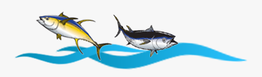 Transparent Marlin Clipart - Atlantic Blue Marlin, Transparent Clipart