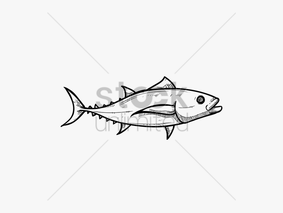 Tuna Fish Vector Image - Pomacentridae, Transparent Clipart