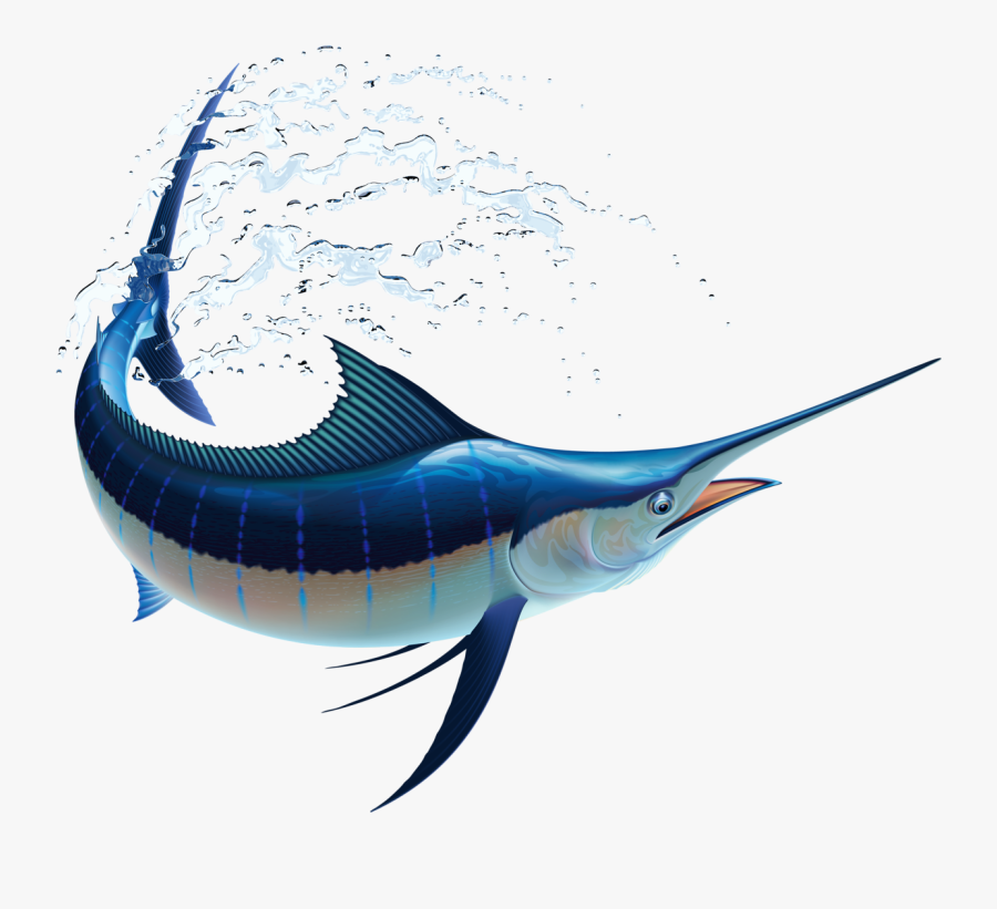 Blue Marlin, Transparent Clipart