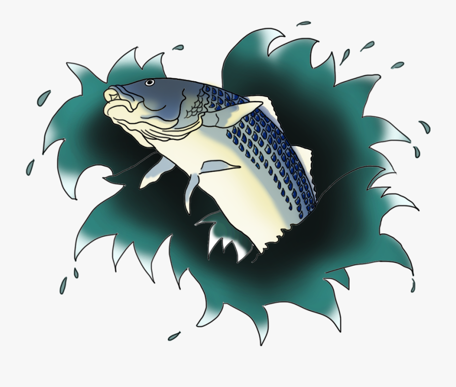 Illustration, Transparent Clipart